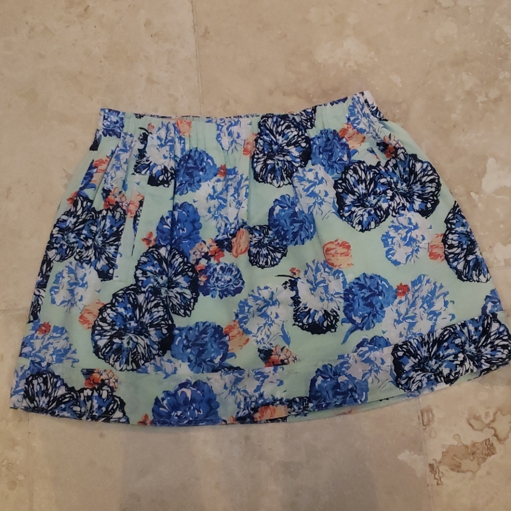 J Crew Skirt